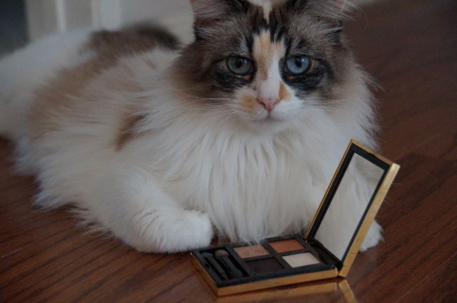 A little Kitty Cameo